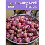 Bawang Kecil / Bawang Merah / Shallots