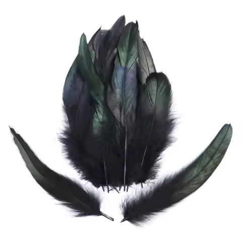 50pcs/pack Black Rooster Feathers Dyed Colorful Natural Pheasant Plumes 15-20cm/6-8 inch Costume Par