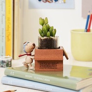 【畢業禮物 Snoopy 史努比木製盆器 】多肉盆栽罐 | 無植物須加購
