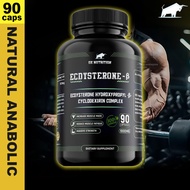 Ecdysterone Ecdyturk 120 Capsule Genuine 1000MG Ox Nutrition Lean Muscle Mass