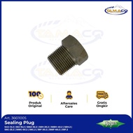 36611005 Sealing Plug for S4G-3.2, S6J-13.2, S66J-32.2, S6H-20.2 - Bitzen