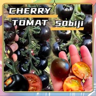 Kadar kecambah 90% Benih Tomat Ceri Hitam Black Cherry Tomato Isi 50 Biji Bibit Sayuran F1 - Rasa Ma