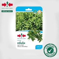 1000Biji Benih Daun Selasih Hijau Wangi / Daun Kemangi /Daun Basil Thai / Selasih Wangi / East West 