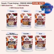 PURE Bite Freeze Dried Meat Cat Snack