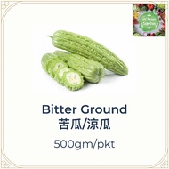 Bitter Ground/Peria/苦瓜/500gm