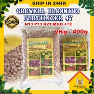 400g 2Kg GROWELL BLOOMING FERTILIZER 47 / BAJA BERBUNGA 47 开花肥 BAJA BUNGA FERTILIZER FLOWER