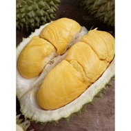 MUSANG KING DURIAN