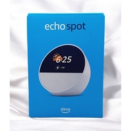 Alexa Integrated Smart Alarm Clock (Gray) Echo Spot (USA)