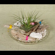 讓我們做吧 漂流木手機 漂流木衣架 天然室內裝飾 手工製作 室內裝飾雜貨 漂流木藝術 漂流木室內裝飾 花底裝飾