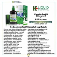Klink Klorofil K Liquid Chlorophyll Original Clorophyl Clorofil Link