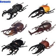 JOYEX Simulation Beetle Science Toy Animal Collection Insect Toy Fake Beetle Beetle Figures Kids Ins