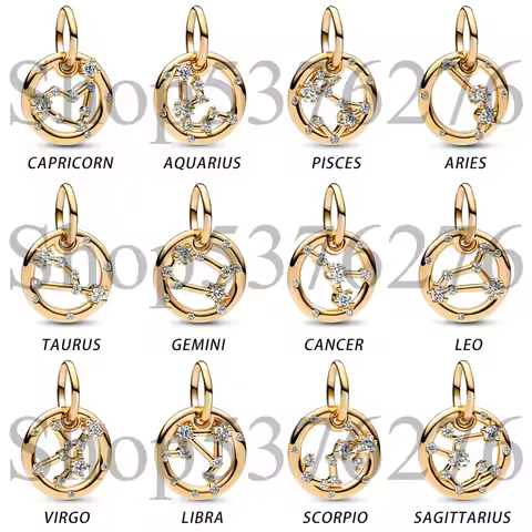 925 Sterling Silver Bead 12 Zodiac Aquarius Aries Cancer Gemini Dangle Charm Fit Fashion Women Brace