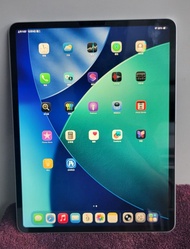 Apple iPad Pro 12.9 256GB 第5代 5代 第五代 M1