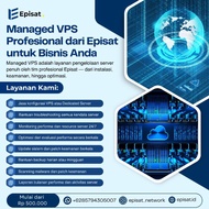 Managed VPS Professional | Full Server Management Services by Expert Team | EPISAT