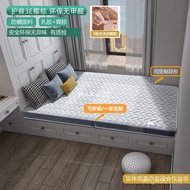 Anti-Mite 3e Hard Cushion Mattress Mattress Mattress Coconut Palm Latex Ridge Protection Palm Cushio