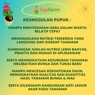 pupuk bunga / pupuk bunga bougenville / pupuk royal flow pfkodx 9673gc