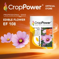 (5 GRAM) Benih Bunga Kosmos Moon Petal 花晨雨 EF108 CROP POWER  F1 HYBRID Cosmo Bipinnatus Edible Flowe