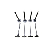 Dongfeng Fengxing Forthing EVO Thunder 4A95TD engine intake valve 8pcs MW258292