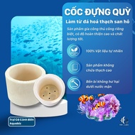 [100% natural stone] Kneeling cup Coral stone kneeling cup - Safely fix sea anemones in marine aquar