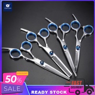 UBeststore 6PCS/Set 6-Inch Beauty Scissors Pet Shearing Scissors for Dogs