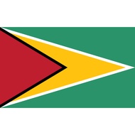Guyana Country Flag TC Mirror Material (crews back)