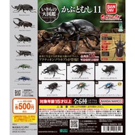 〘全套/散賣〙BANDAI GASHAPON 環保扭蛋 獨角仙編 昆蟲系列 可動 甲蟲 第11彈 扭蛋 玩具 (全6種) いきもの大図鑑 くわがた 11 現貨