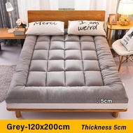 Grey Thick 10cm Tatami Mattress Single/Queen/King Feather Velvet Soft Tilam Foldable Mattress Floor Mattre Bedding Kekabu