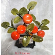 Kiat kiat Money Tree for wealth, abundance and prosperity (5 fruits)