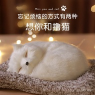 Cloud Girl Old Gift Valentine's Day Boyfriend Gift for Girlfriend Gift for Girlfriend Girlfriend Gir