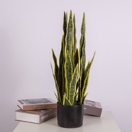 62CM High-quality Artificial Plant Sansevieria Plant Snake Plant Indoor Plant