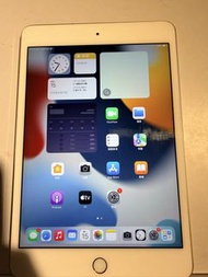 Apple iPad mini 4 金色 64GB 屏幕正常