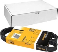 Continental BMW 11281703943 5PK890 Ribbed Belt