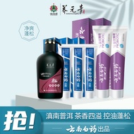 养元青控油清爽蓬松洗发水普洱茶无硅油去油洗发液 洗发水500ml+牙膏425g