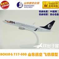 Solid Alloy Airplane Model B737-800 Mountain East Airlines Boeing 737 Mountain Airlines Gift Decorat