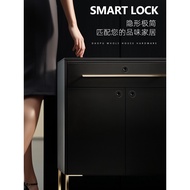 Drawer Fingerprint Lock Cabinet Security Lock Wardrobe Cabinet Punch-Free Drawer Lock Shoe Cabinet L