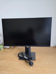 Dell 24 inch Monitor
