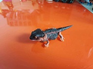 Realistic Reptile Figures Egg Toy Gecko Bearded Lizard