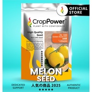 TOP RATED🌟(500 SEEDS) Biji Benih Golden Melon Golden Sweet Sea 金海密 ML1388 CROP POWER F1 HYBRID  Melo