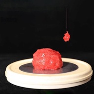 Fermented bait for Casting Saltwater Quick Attack Fishing Bait for Carp Tilapia Fishing Using JTF-VN