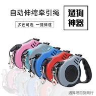 Pet Leash Factory Nylon Automatic Retractable Cat Leash Dog Walking Chain Pet Supplies Factory Quant