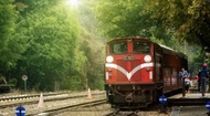 高鐵假期-嘉義阿里山小火車、觀日出｜二日精緻遊