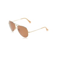 [RayBan] Sunglasses 0RB3689 Aviator Metal II 001 / T255 Evolve