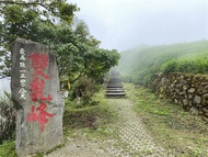 火車旅遊-台東市中心住宿、太麻里賞花｜花海一日遊