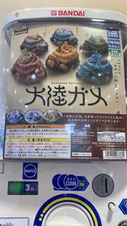 日本扭蛋 烏龜 陸龜 買