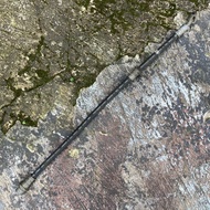 Flexible Hose No.1 (For Front) Rh Flexible Hose Front Right Brake Corolla AE100 AE101 AE102 EE100 EE