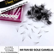 6D Sole Camellia fan eyelashes 0.07 thick, C-CC-D curve, even flare, small glue legs, Thuy Ha Artifi