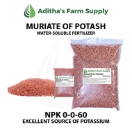 Muriate of Potash Fertilizer (NPK 0-0-60) High in Potassium Content 200 grams/1 kilo