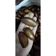 BUAH PERAH HUTAN | MENTAH | MURAH🔥🔥