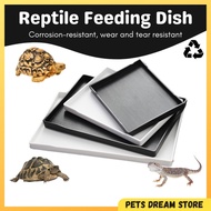 Reptile Tortoise Feeding dish tortoise food dish water bowl basin bearded dragon bowl reptile tortoi