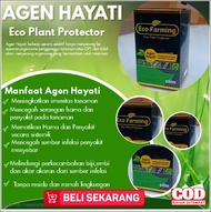 ECO FARMING ECO PLANT PROTECTOR AGEN HAYATI 1 BOX ISI 10SACHET/ECO FARMING ECO PLANT PROTECTOR AGEN 